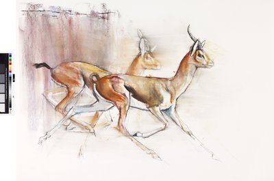Futó arab gazellák, 2010 (olaj, papír) alkotó: Mark Adlington