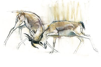 Homokgazellák, 2009 (conte és szén, papír) alkotó: Mark Adlington