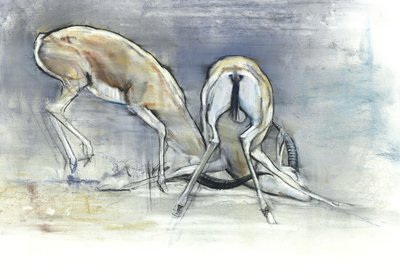 Homokgazellák, 2009 (conte és faszén papíron) alkotó: Mark Adlington