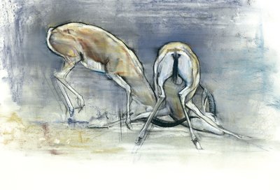 Homokgazellák, 2009 (conte és faszén papíron) alkotó: Mark Adlington