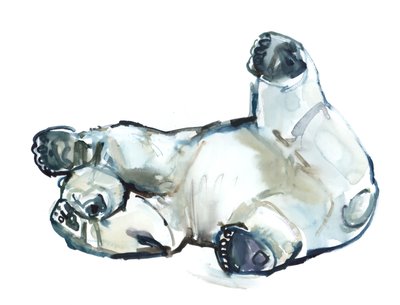 Snow Rub (jegesmedve), 2013 (akvarell és gouache papíron) alkotó: Mark Adlington