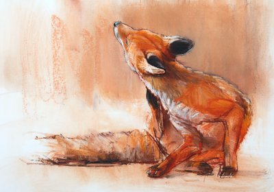Tavaszi Vixen, 2022 alkotó: Mark Adlington
