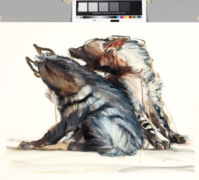 Verekedő csíkok, 2010 alkotó: Mark Adlington