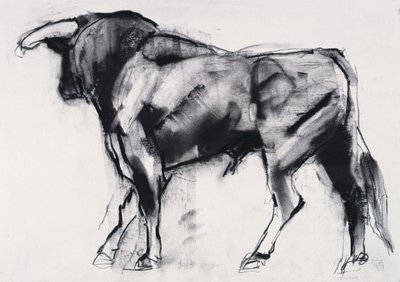 Toro Azul, tanulmány (szén papíron) alkotó: Mark Adlington