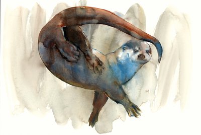 Ismeretlen cím alkotó: Mark Adlington