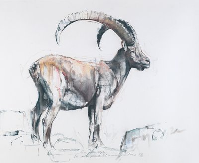 Venerando Stambecco, 2006 (szén és konténer, papír) alkotó: Mark Adlington