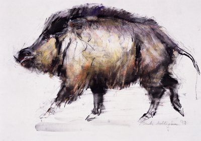 Vaddisznó, 1999 (grafit, konté és szén papíron) alkotó: Mark Adlington