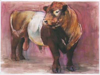 Zeus, Red Belted Galloway Bull, 2006 (vegyes média papíron) alkotó: Mark Adlington