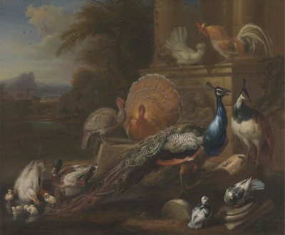 Pávák, galambok, pulykák, csirkék és kacsák egy klasszikus rom mellett alkotó: Marmaduke Cradock