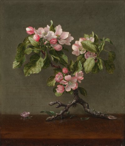 Almavirágok, 1873. alkotó: Martin Johnson Heade