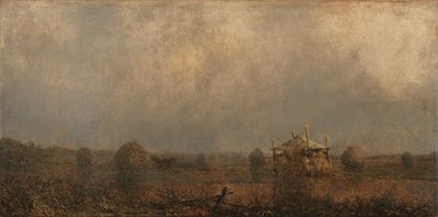 dagály a mocsarakon alkotó: Martin Johnson Heade