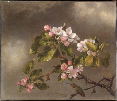  alkotó: Martin Johnson Heade