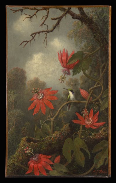  alkotó: Martin Johnson Heade