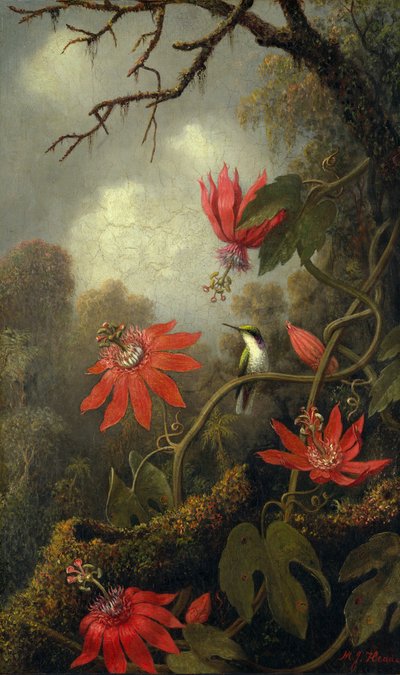 Kolibri és golgotavirág, kb. 1875-85. alkotó: Martin Johnson Heade