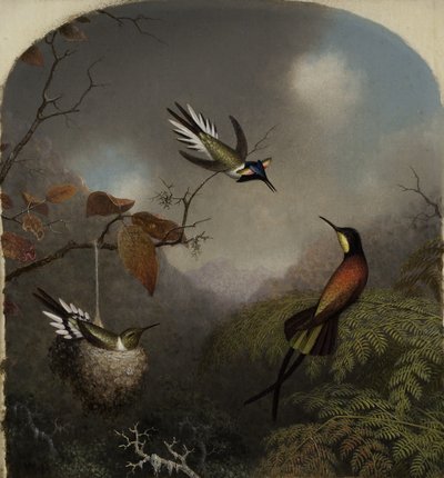 Kolibri: Két gyöngyszem és egy bíbor topáz, 1866 alkotó: Martin Johnson Heade
