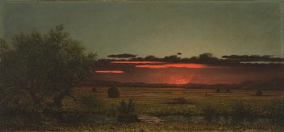  alkotó: Martin Johnson Heade