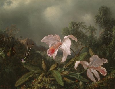 Dzsungel orchideák és kolibri, 1872 alkotó: Martin Johnson Heade