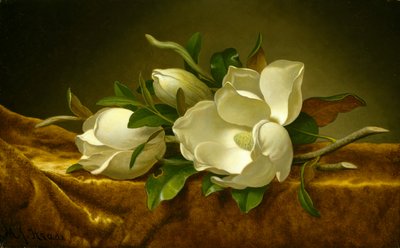 Magnóliák arany bársonyszöveten, 1888-90 körül (olaj, vászon) alkotó: Martin Johnson Heade