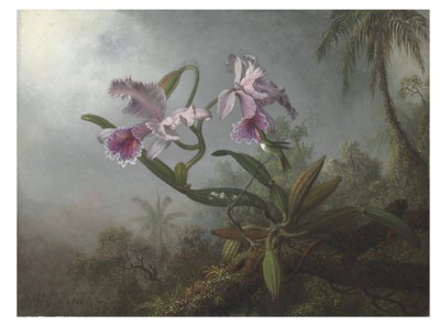 Rózsaszín orchideák és kolibri gallyon, 1875 alkotó: Martin Johnson Heade