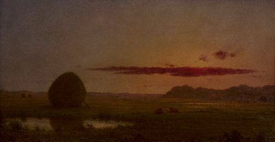  alkotó: Martin Johnson Heade