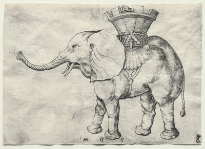 Egy elefánt Howdah-val, c. 1485. alkotó: Martin Schongauer