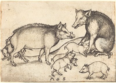 Sertés család alkotó: Martin Schongauer
