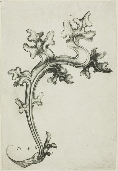 Levél dísz alkotó: Martin Schongauer