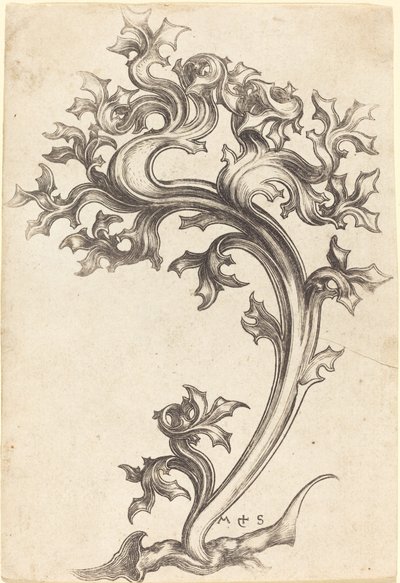 Bogáncs dísz alkotó: Martin Schongauer