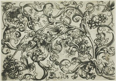 Szőlő dísz papagájokkal és madarakkal alkotó: Martin Schongauer