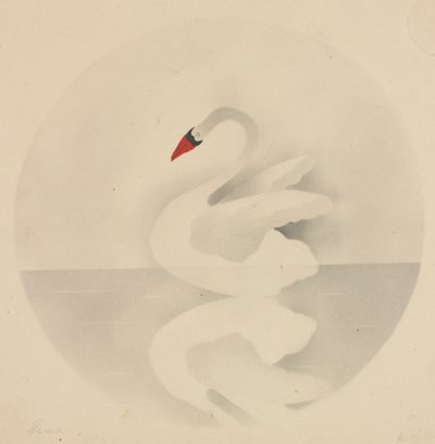 Hattyú. alkotó: Mary Altha Nims