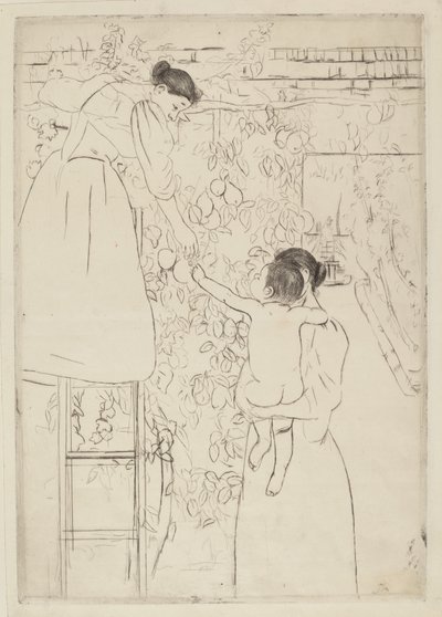 Gyümölcsgyűjtés, c. 1893. alkotó: Mary Cassatt