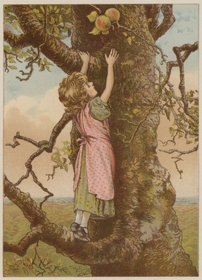 Lány mászó az utolsó almáért (chromolitho) alkotó: Mary Ellen Edwards