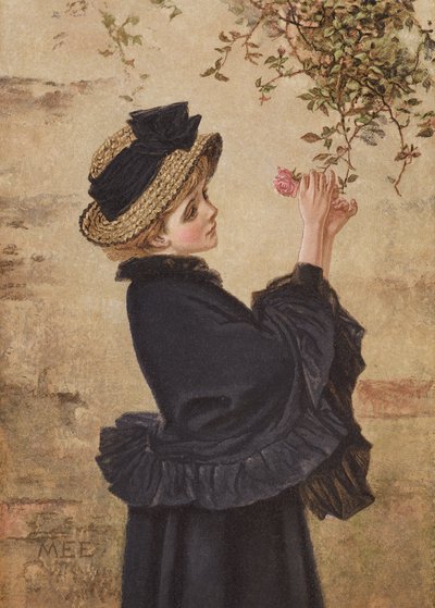 Left Blooming Alone (színes litográfia) alkotó: Mary Ellen Edwards