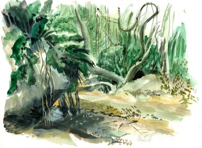 Dzsungel: Tayrona, Kolumbia alkotó: Mary Kuper