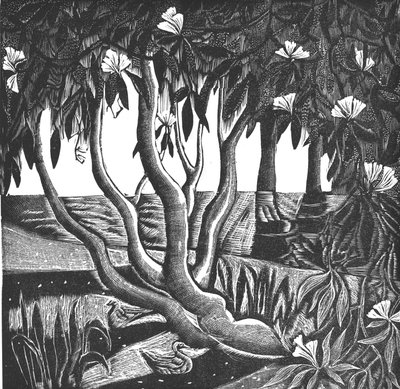 Rhododendrons, Holland Park, 2006 (vinil gravírozás) alkotó: Mary Kuper