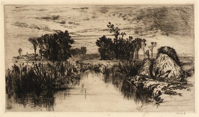 Cattails és fák alkotó: Mary Nimmo Moran