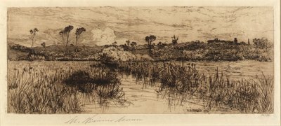 A pézsmapatkányok otthona alkotó: Mary Nimmo Moran