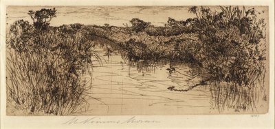 Meadowland alkotó: Mary Nimmo Moran