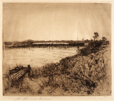 Sós vízi tavak alkotó: Mary Nimmo Moran