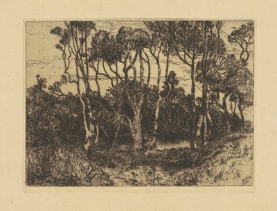 Magány alkotó: Mary Nimmo Moran