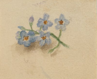 Név nélkül, 1874. alkotó: Mary Vaux Walcott