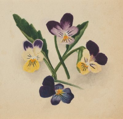 Névtelen árvácskák, 1874. alkotó: Mary Vaux Walcott