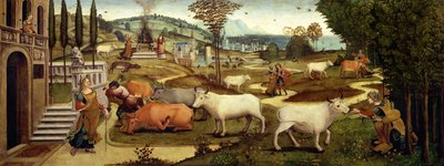 Pasiphae szenvedélyei, Minosz krétai király felesége, Thészeusz történetéből (olaj, tábla) alkotó: Master of the Campana Cassoni