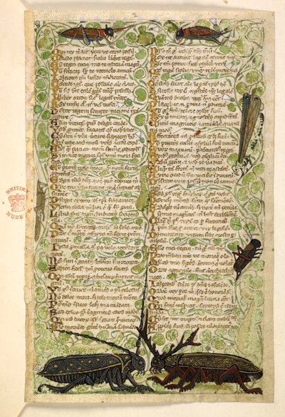 Hozzáadás. 28841, f.2: Szarvas bogarak, tücskök és egy lokusz.  Értekezés az erényekről és gonoszságokról, valamint Szicília névtelen prózatörténete (töredék)  Cocharelli alkotó: Master of the Cocharelli Codex