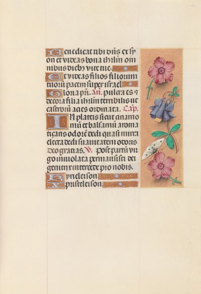 Izabella katolikus királyné, spanyol királynő órái: Fol. 144r, c. 1500. alkotó: Master of the First Prayerbook of Maximillian