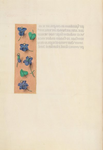 Izabella katolikus királyné, spanyol királynő órái: Fol. 16v, Short Border, c. 1500. alkotó: Master of the First Prayerbook of Maximillian