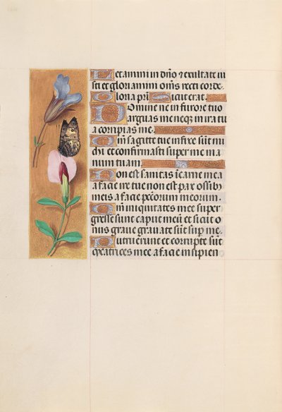 Izabella katolikus királyné, spanyol királynő órái: Fol. 202v, c. 1500. alkotó: Master of the First Prayerbook of Maximillian