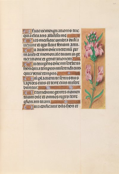 Izabella katolikus királyné, spanyol királynő órái: Fol. 207r, c. 1500. alkotó: Master of the First Prayerbook of Maximillian