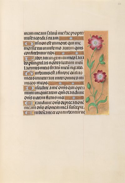 Izabella katolikus királyné, spanyol királynő órái: Fol. 229r, c. 1500. alkotó: Master of the First Prayerbook of Maximillian