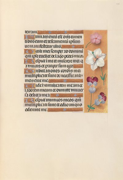 Izabella katolikus királyné, spanyol királynő órái: Fol. 235r, c. 1500. alkotó: Master of the First Prayerbook of Maximillian